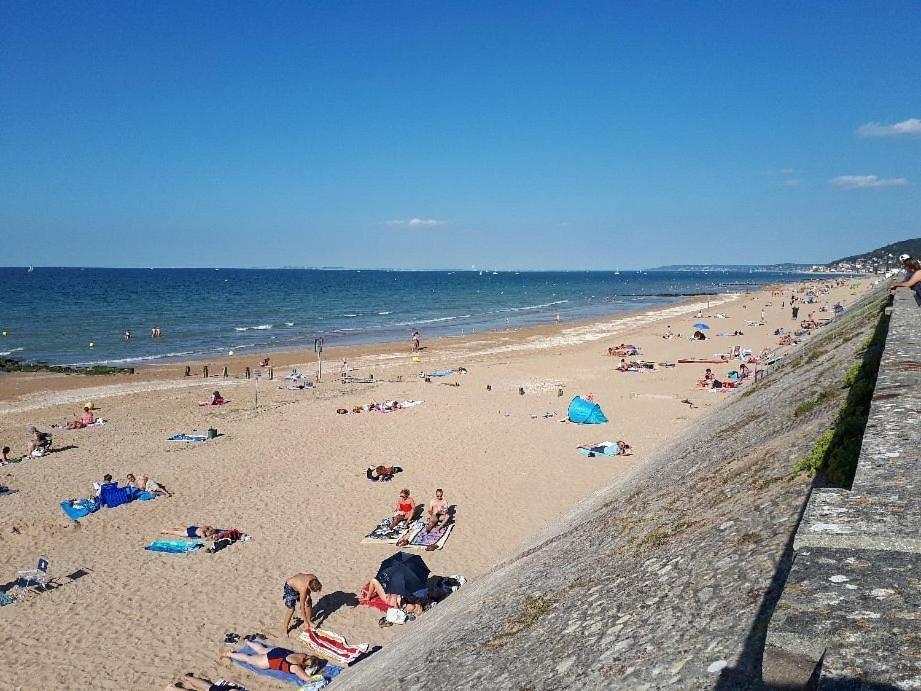 "Magnifique 2 Pieces " 150M Plages Et 500M Centre De Cabourg Exteriör bild